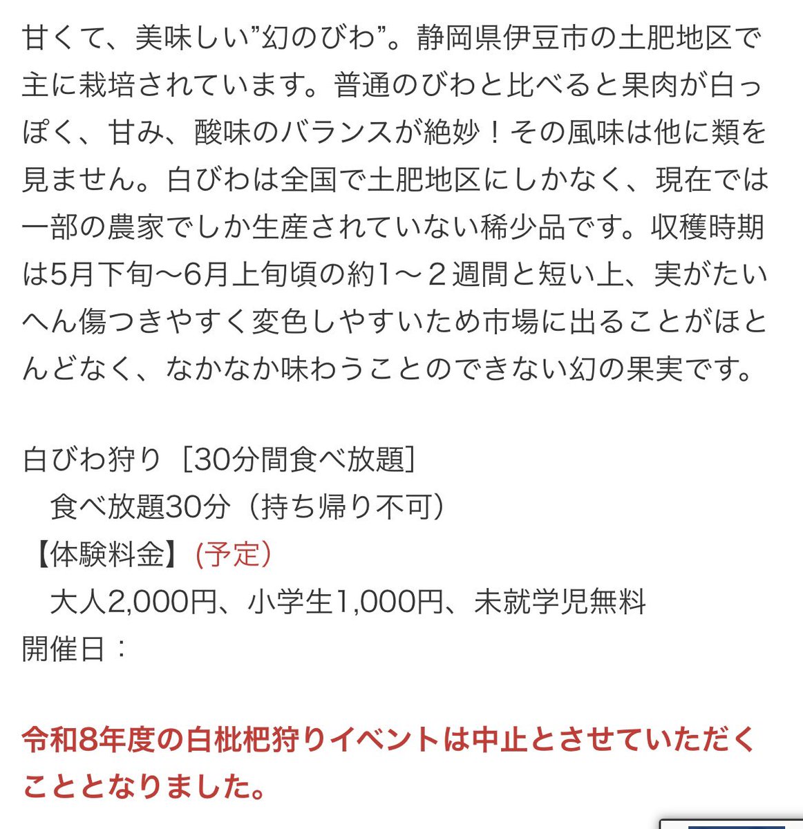 ousamisan's tweet photo. 今年も土肥の白びわ狩りを楽しみにしていたのですが、2月の降雪・低温で数が確保できず中止と案内にありました😭確かに雪降ったし寒かったからやられちゃったんですね。

残った実の質も気になるところです。 https://t.co/KbjjvzjByC
