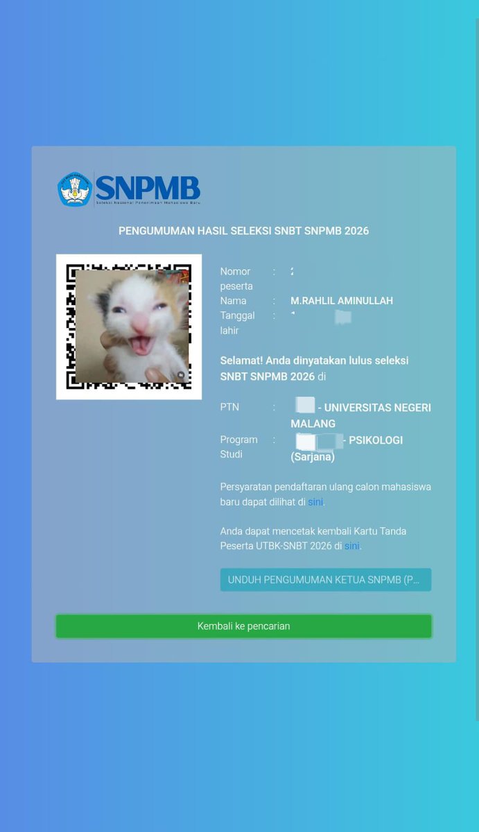 chat noir tweet media