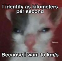 Cool Cat Society tweet media