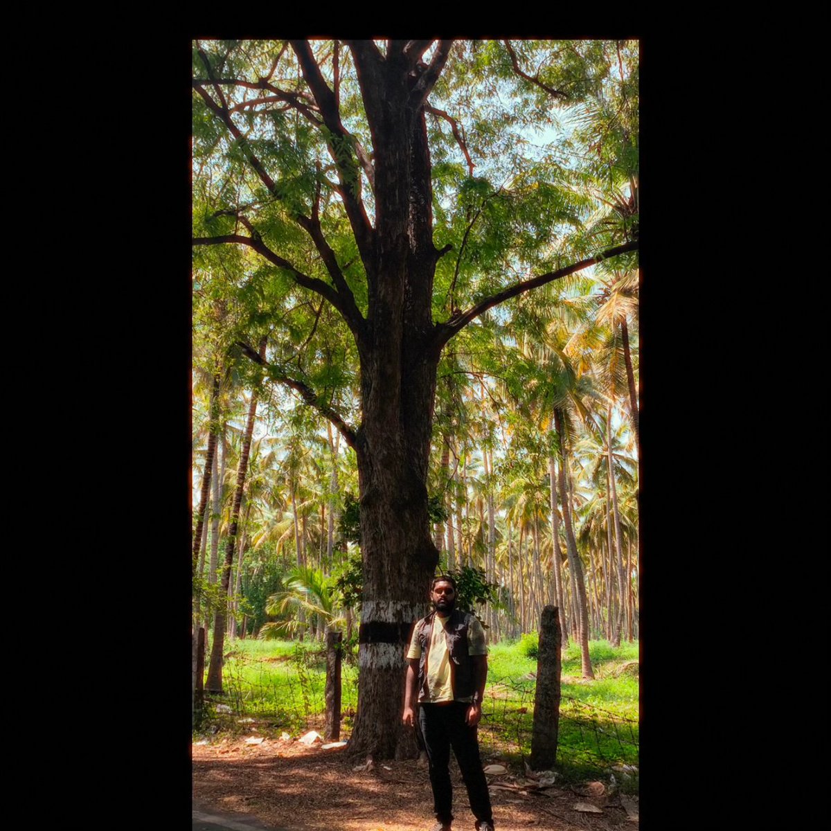 AllenMJolly1's tweet photo. Nature,just cover me ✨ https://t.co/AVQpQNFd6b