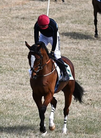 Zenyatta John tweet media