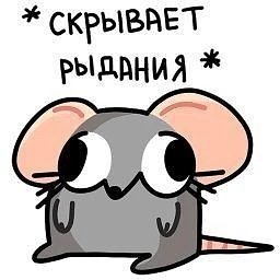 Котоскуф tweet media
