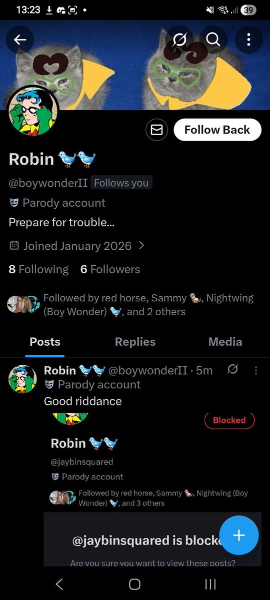 Robin 🐦🐦 tweet media