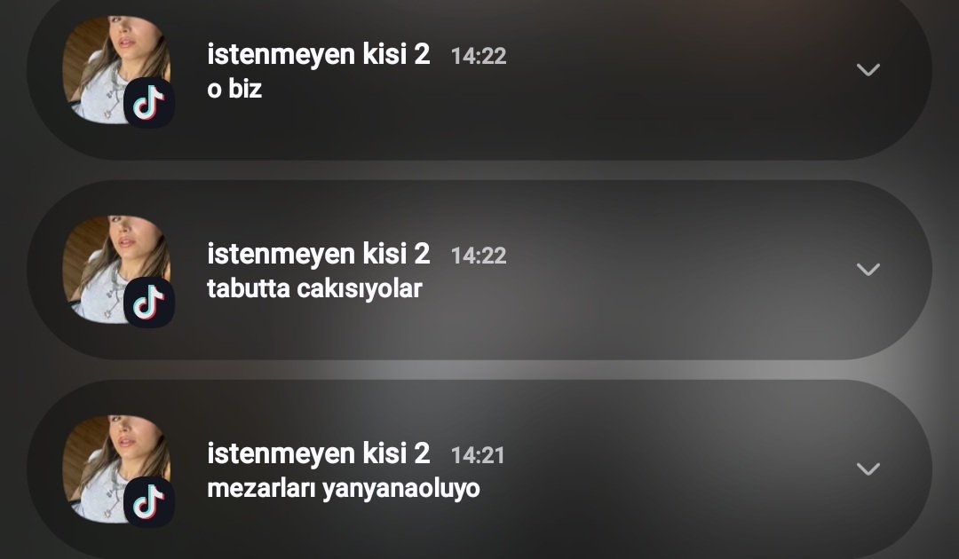 ari tweet media