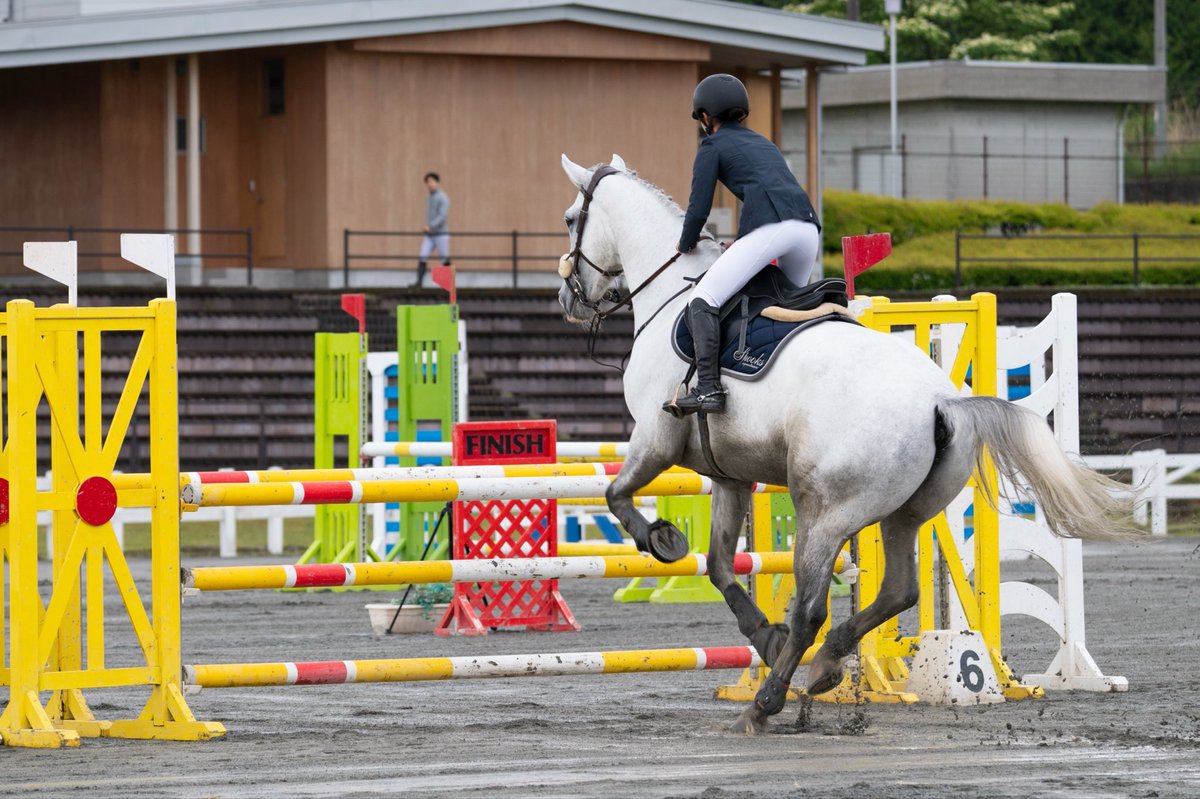 ドルチェモア🐴🧁 tweet media