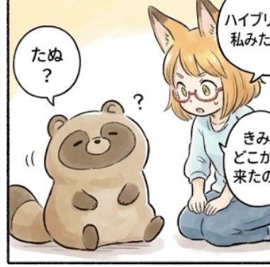 もふ山商事⭐️ たぬ職人 tweet media