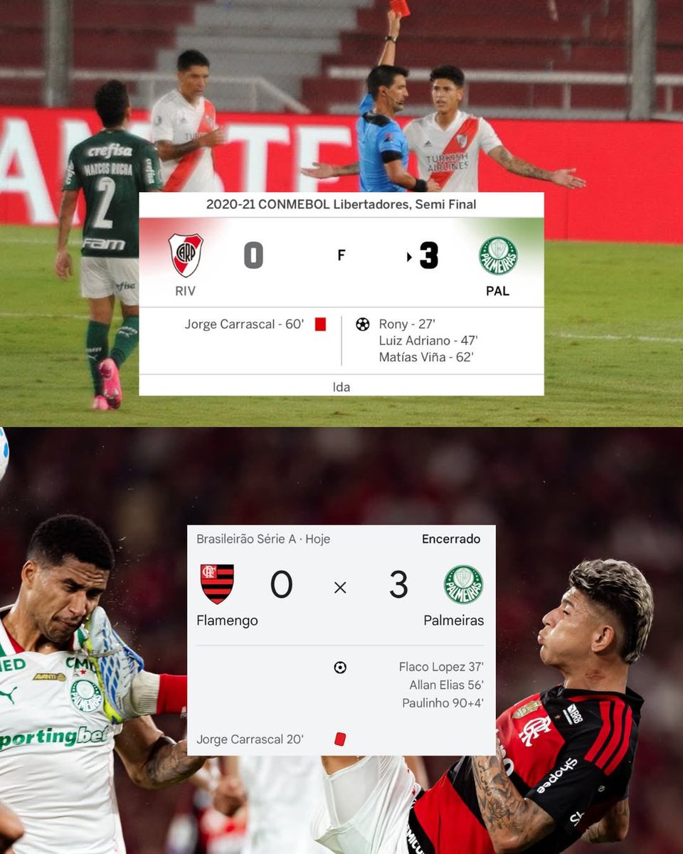 Palmeiras da Depressão tweet media