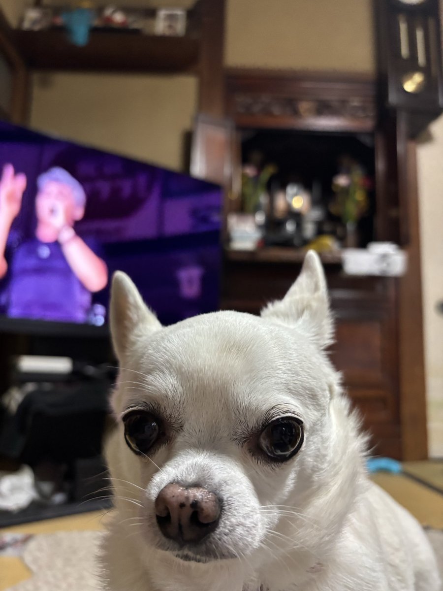 鬼瓦権蔵 tweet media
