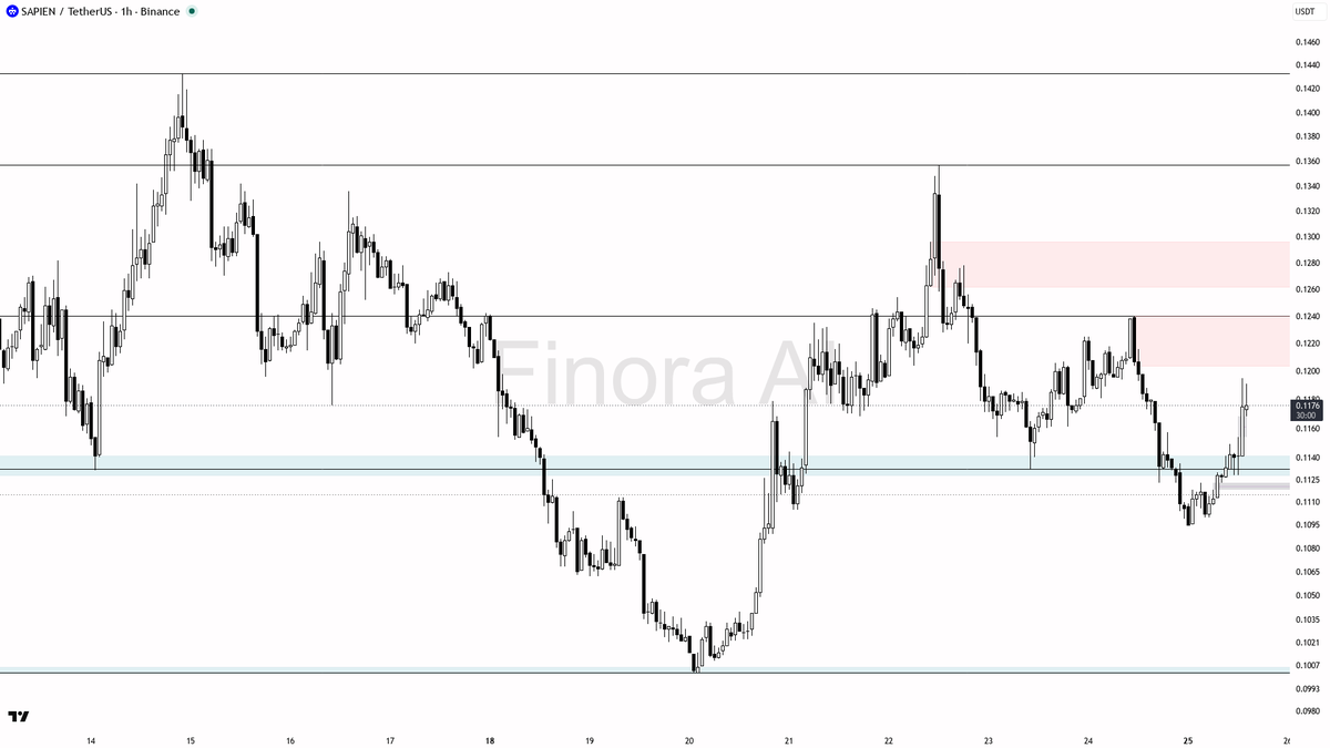 Finora AI - Your Trade Buddy tweet media