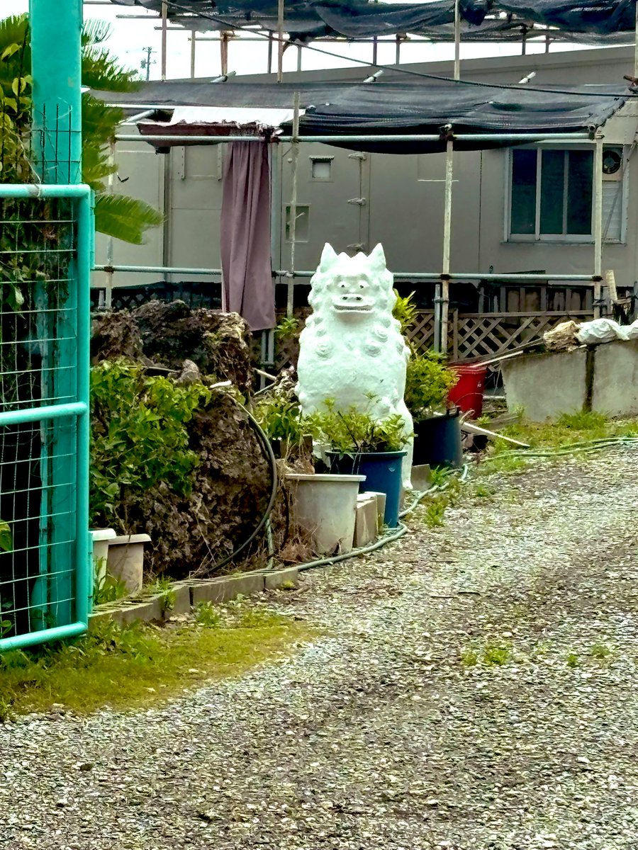 pppikarin's tweet photo. 帰国してからの私あるある

地震にめっちゃ敏感に気がつく。

最初は自分がゆれてるのかと思ってたけど、毎回調べてみると
震度1とか2とか、かーなーり頻繁なのね。

ニュージーランドはやっぱ結構地震あったけど、イギリス・カナダでは皆無だったな https://t.co/BN4CFNG5HH