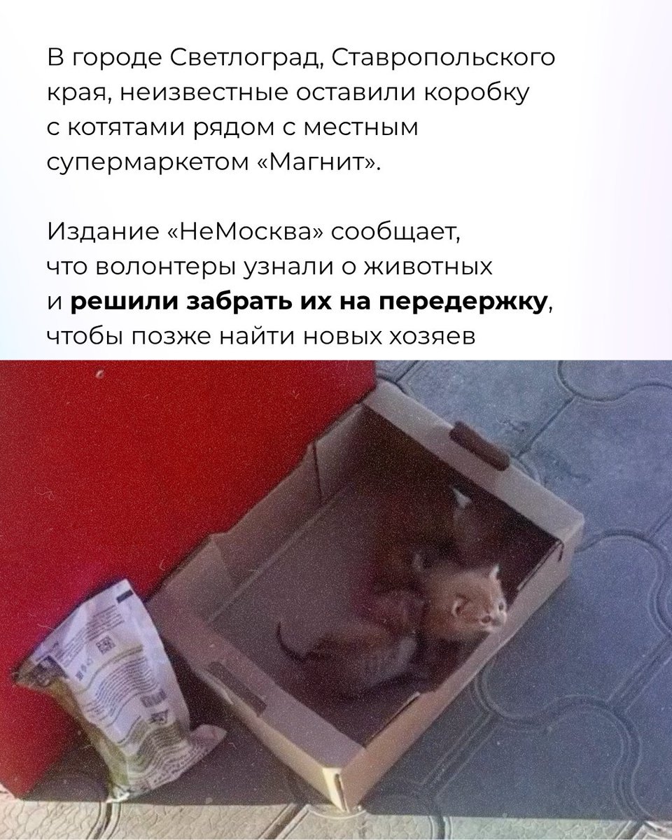 Холод tweet media