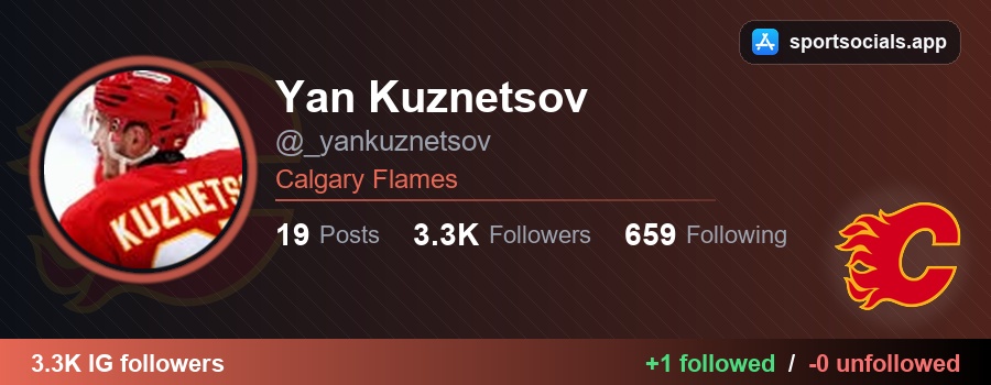 NHL Follow Tracker tweet media