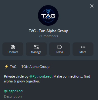 Python tweet media