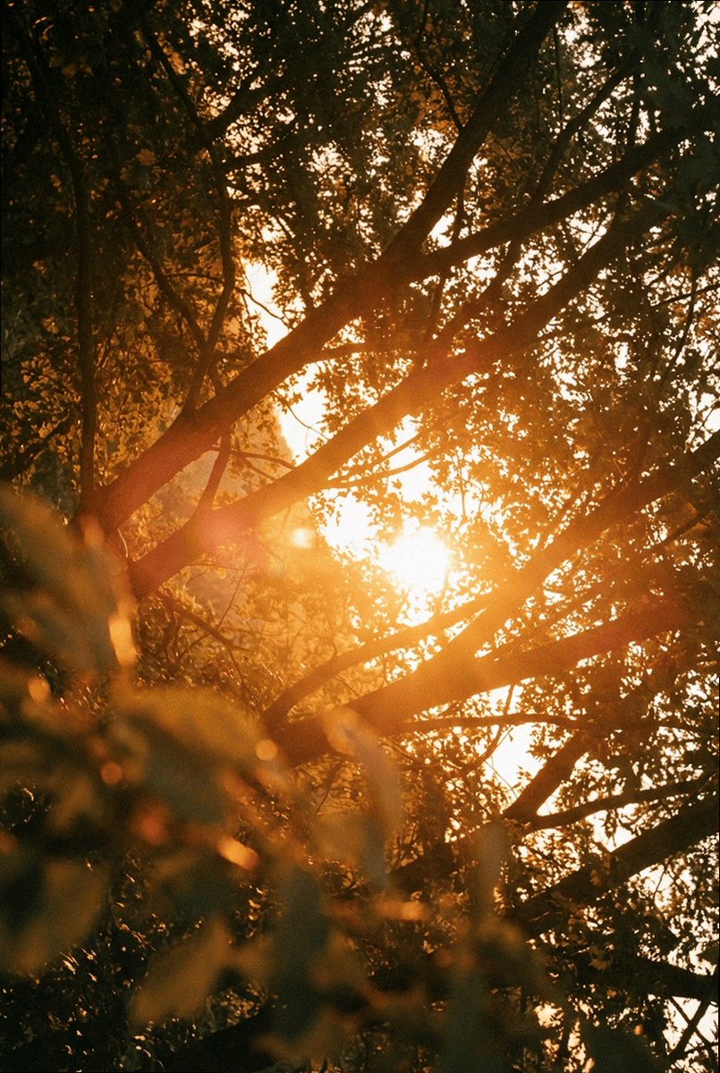 Regf85's tweet photo. golden hour hit different today like the sun knew i needed it https://t.co/BBxlylAdGu