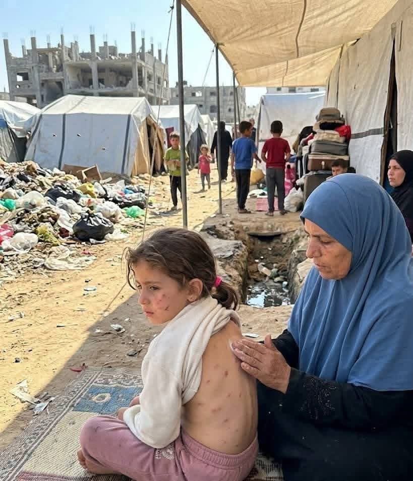 Dr.SAEB_FROM_GAZA tweet media