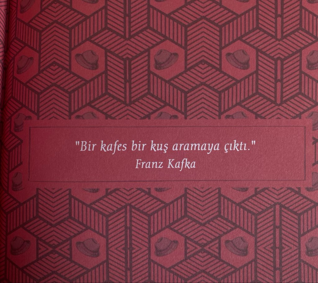 Nur 🦢 𐙚 tweet media