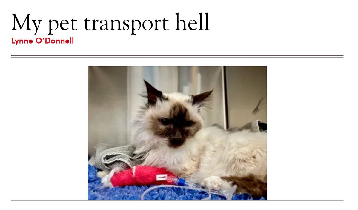 The Spectator Australia tweet media
