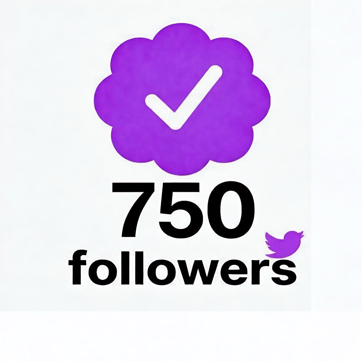 vexon tweet media