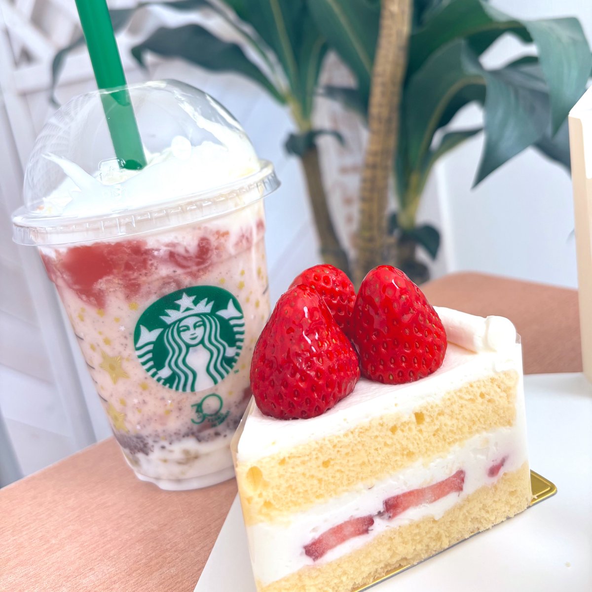 _0v0_cocoa's tweet photo. 撮影会ありがとうございました！
お誕生日お祝いもしてもらえてとっても幸せでした🥲🍰いつもたくさん準備して楽しませてくれて大感謝です🫶

お次の撮影会は6/14(日)です！
お待ちしております💐 https://t.co/rWxDtMnEbi