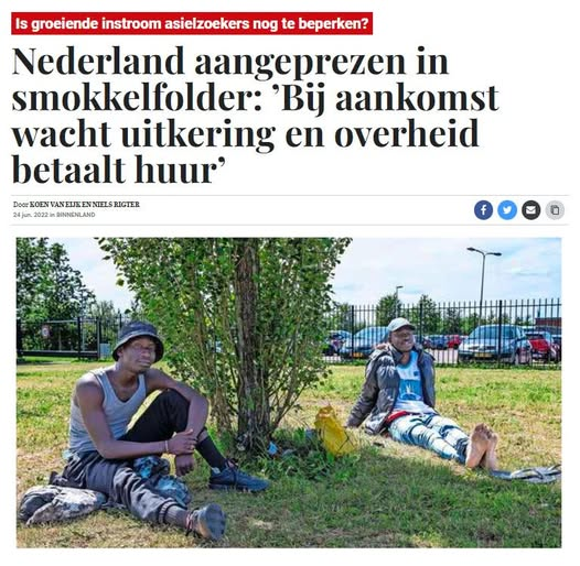 Dolly van den Berg tweet media