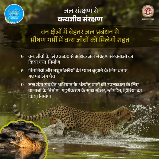 Department of Forest, MP tweet media