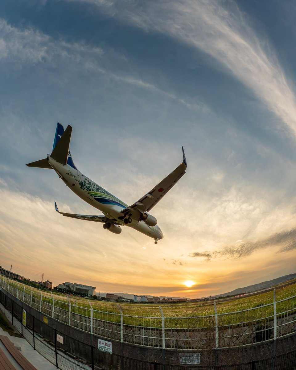 imai5's tweet photo. 涼しい風が
ススキを揺らしていました

#ANA
#地域創生特別デザイン機
#伊丹空港 https://t.co/7LUipE8ooq