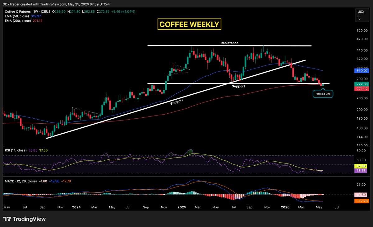 $Trader tweet media
