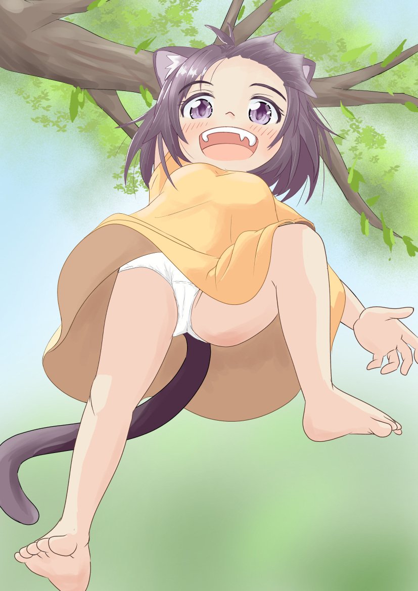 れみ〜 tweet media