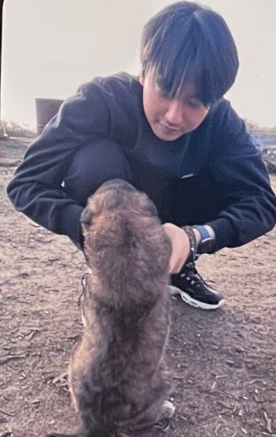 진저 tweet media