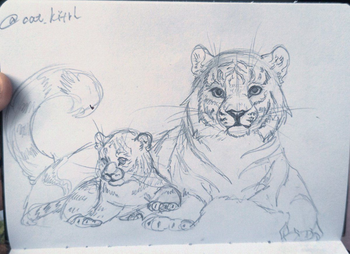 Cat_kitrh's tweet photo. Doodle.....

#art #doodle #tiger #sketch https://t.co/iQWtxS4wTZ