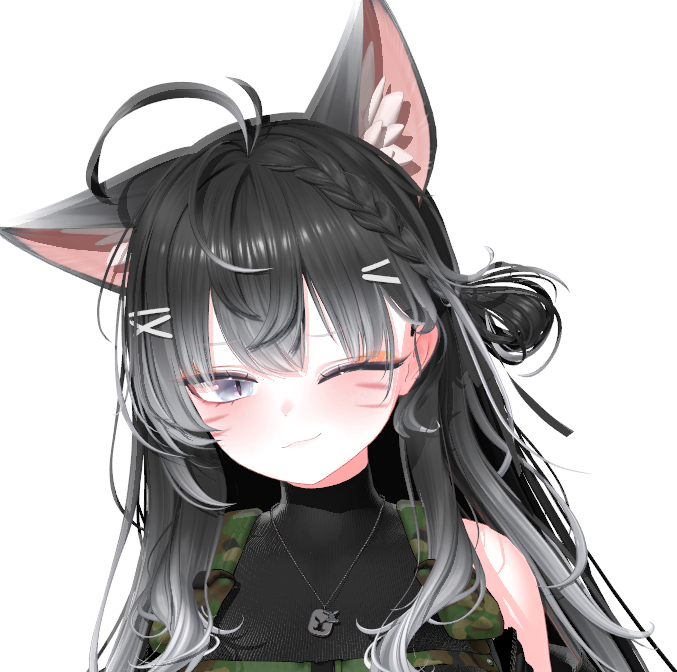 코하쿠🐱🔫 tweet media
