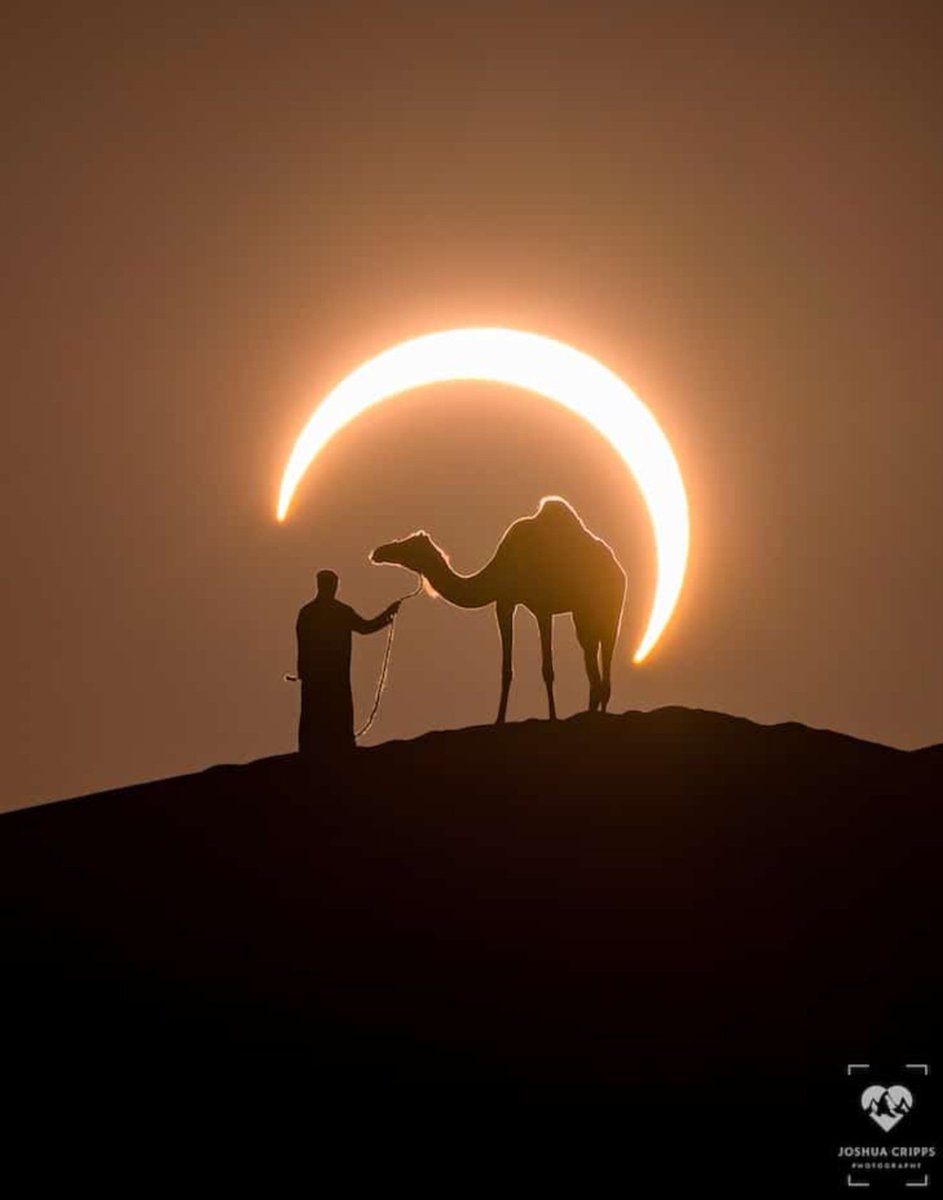 World's Amazing Things tweet media