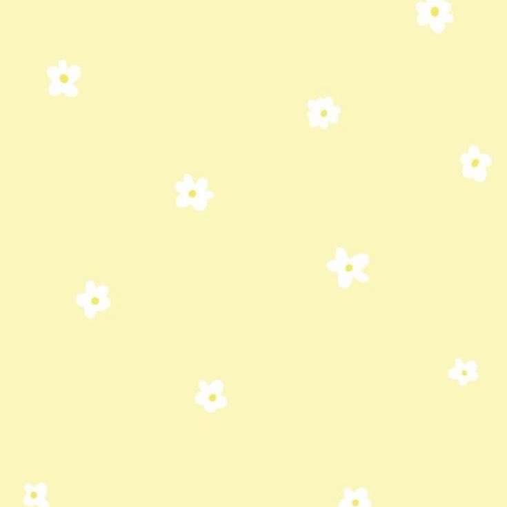 なぅたん.🐈‍⬛💛 tweet media