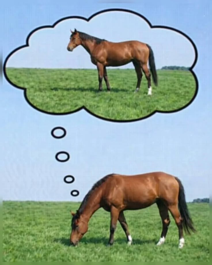 fartic tweet media