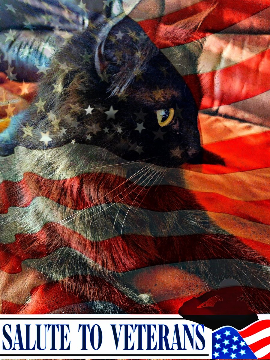 🇺🇲SHaRoNeY🇺🇲 tweet media