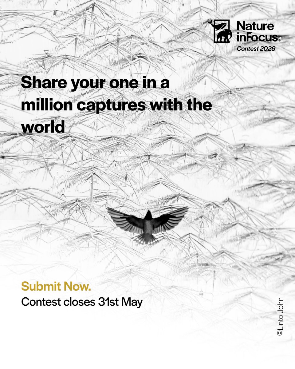 NatureIn_Focus's tweet photo. #NiFContest2026

Every great shot stands alone in a crowd.
Show us yours.

Contest closes 31st May.
https://t.co/TH7sKGq8TN https://t.co/ZmxZ9a4Q6q