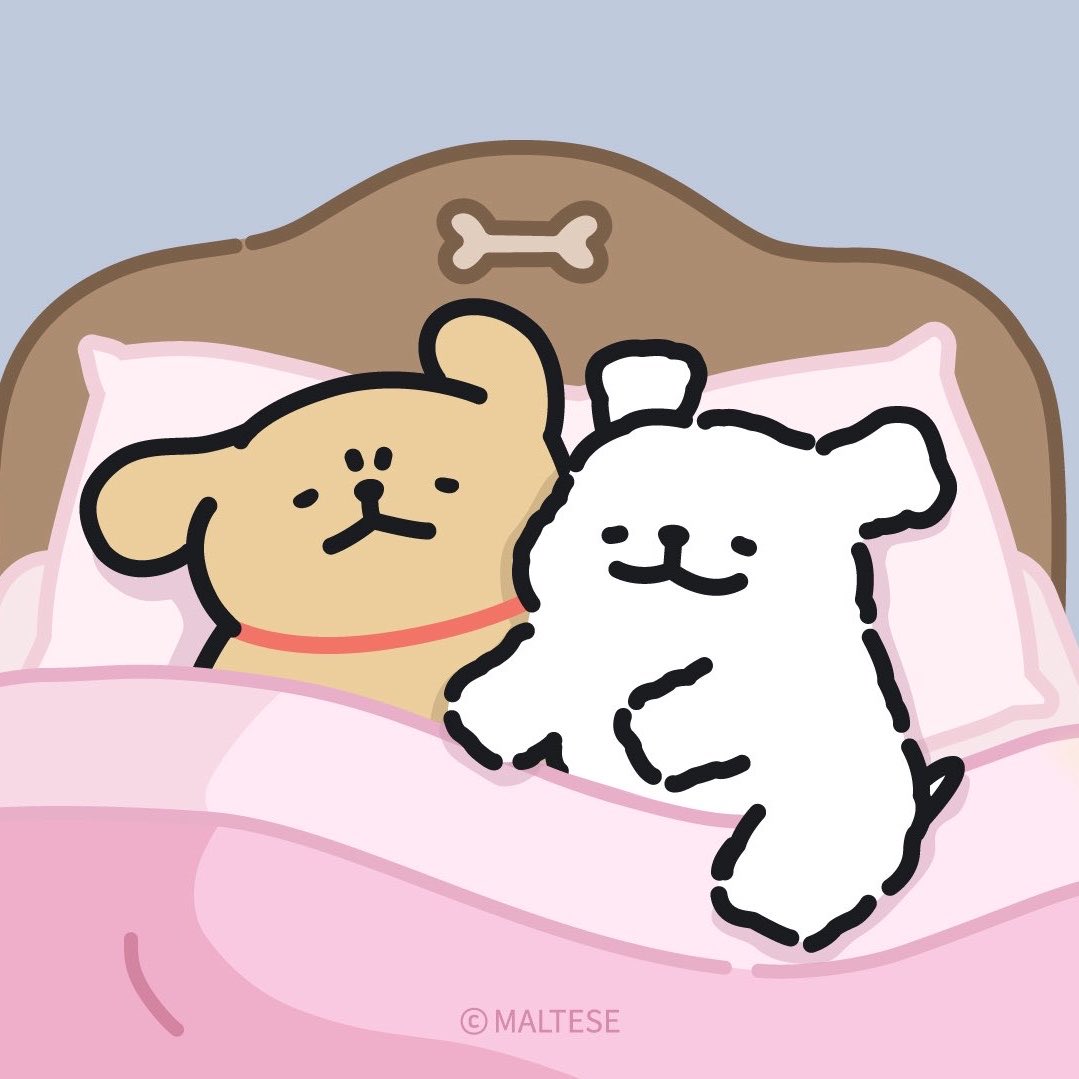 쟤이뽀뽀 tweet media