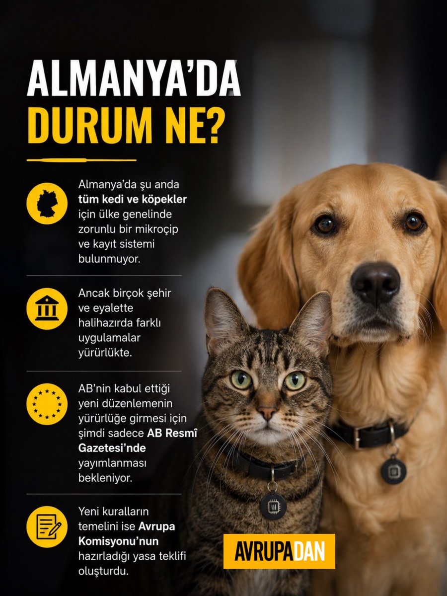 AVRUPADAN tweet media