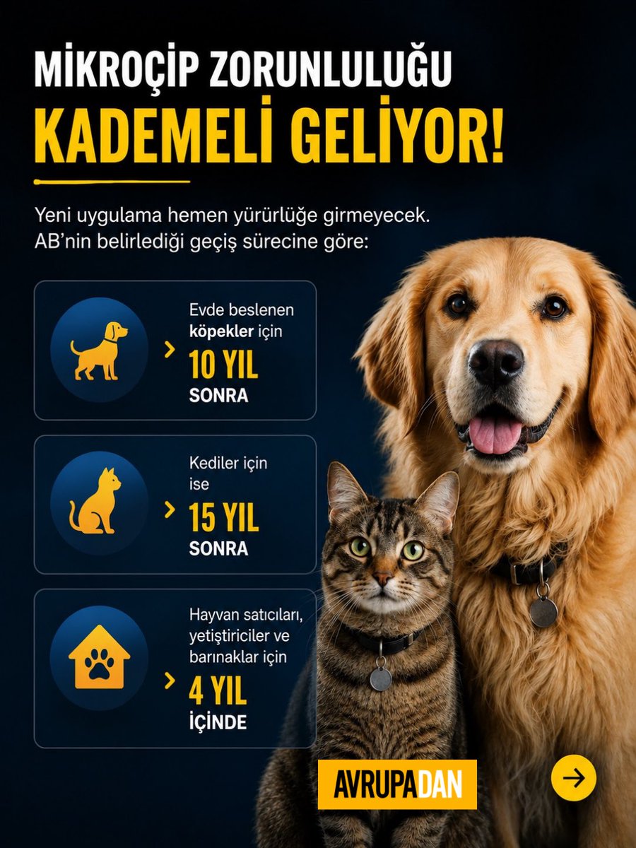 AVRUPADAN tweet media
