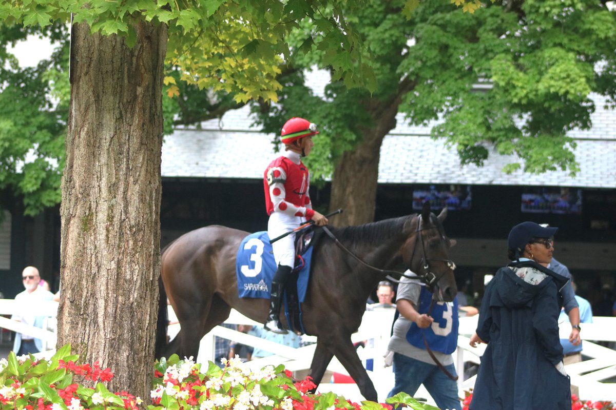 APStables's tweet photo. It's Race Day!!

Snipsnippitysnip is the 3 horse in the 3rd Race at Churchill Downs. Tyler Gaffalione will be aboard and post time is at 1:43. https://t.co/i6iCvhjqgF