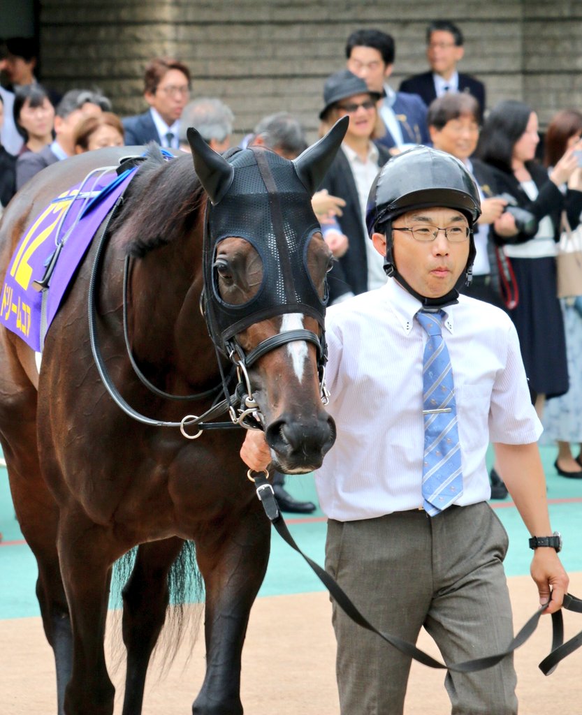 とらまる tweet media