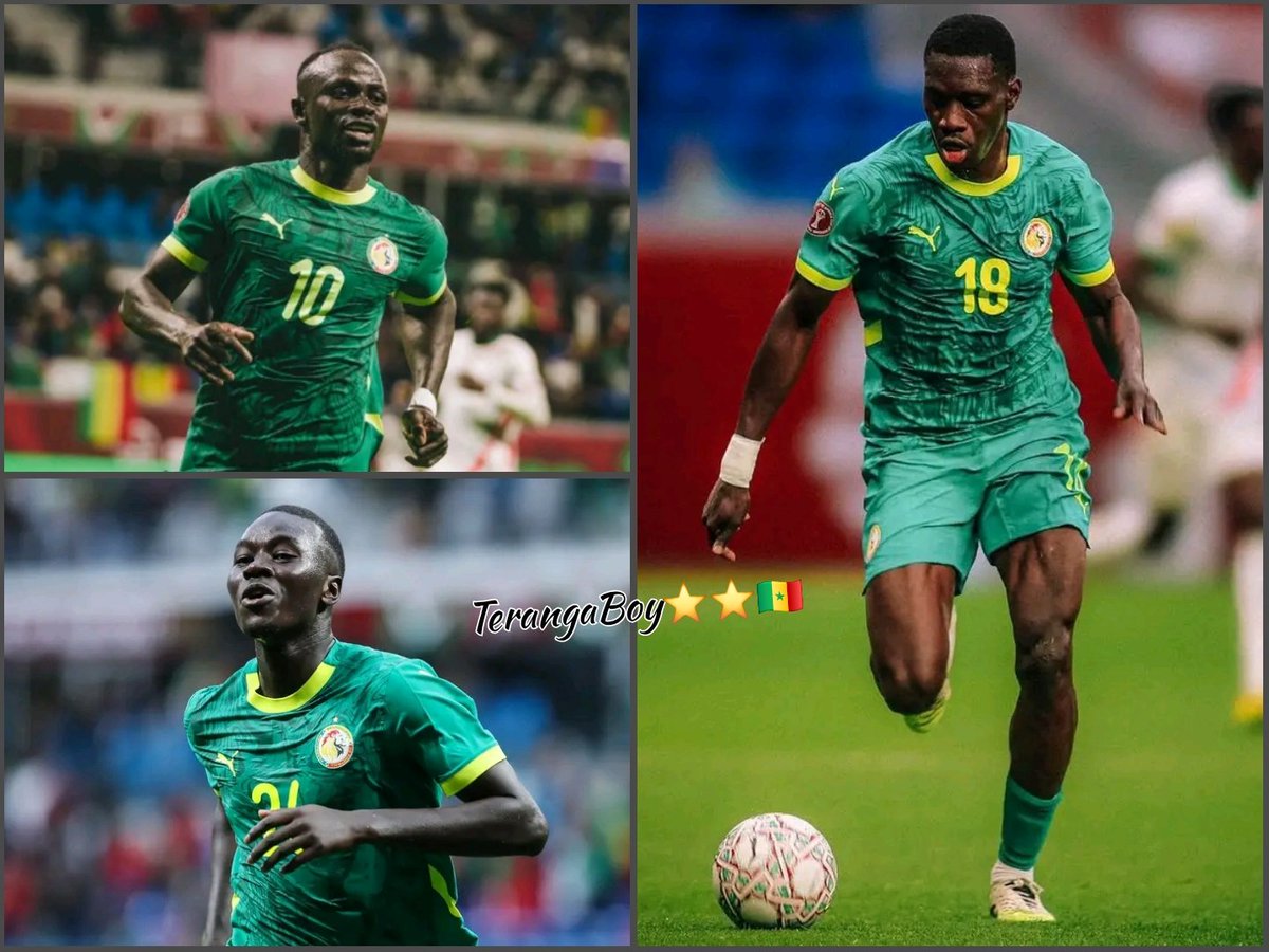 Teranga Boy 🇸🇳🦁 tweet media