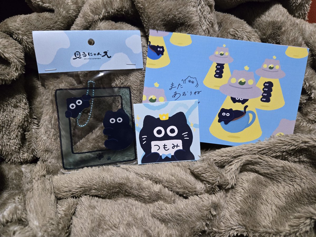 デザフェス戦利品 つもみさんのグッズ購入しました！ フレームアクキー 