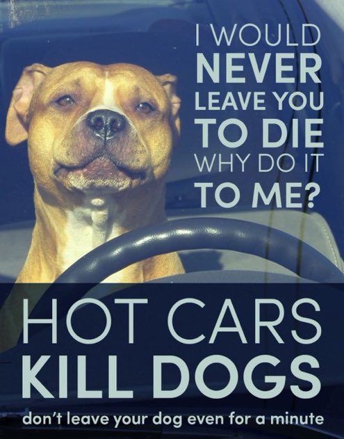 PROTECT ALL WILDLIFE tweet media