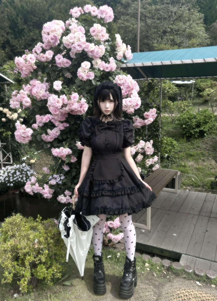 gomachan tweet media