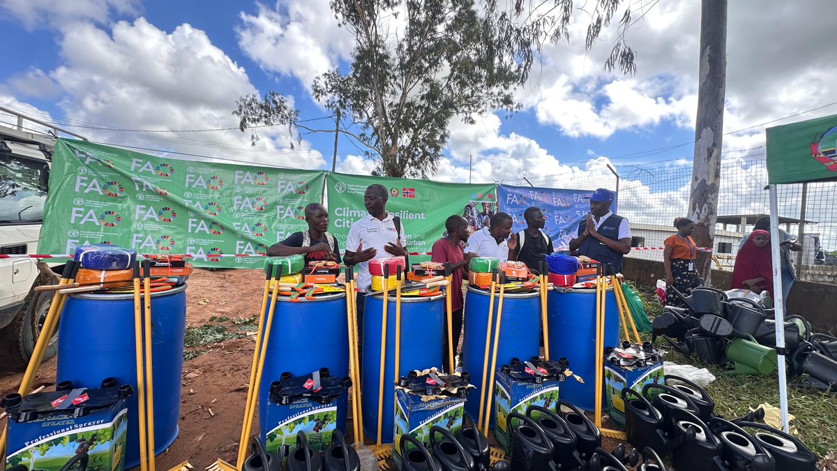 FAOMozambique's tweet photo. 🌱 Under the “Green Cities Resilient to Climate Change” project in Mozambique, Government and @FAO supported 600 farmers, organized in #FFS, with kits for climate-smart agriculture, composting ♻️ and soil restoration 🌍👩🏾🌾 

#FAO #ClimateAction https://t.co/koxEmwXiuF