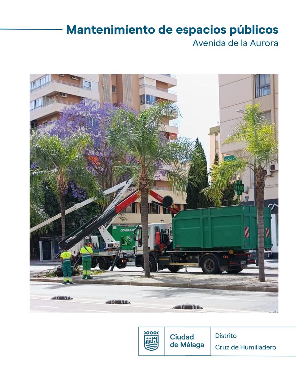 parquesmlg's tweet photo. Durante esta mañana, en el Distrito Cruz del Humilladero @Distrito6M, se han realizado trabajos de poda de palmeras en avenida de la Aurora y se han finalizado los trabajos de plantación en plaza de los Corazones.

@malaga https://t.co/0o3hh3CMr8