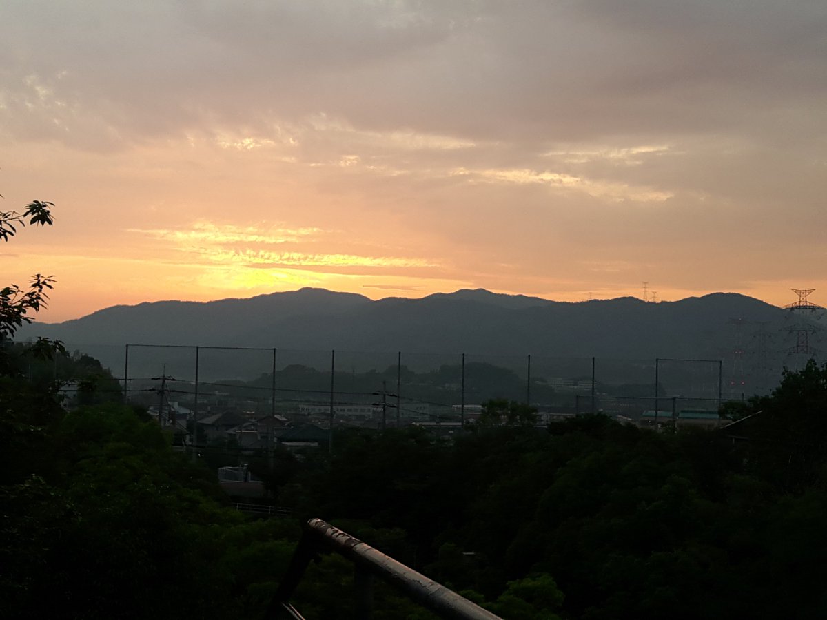 ichi-h tweet media