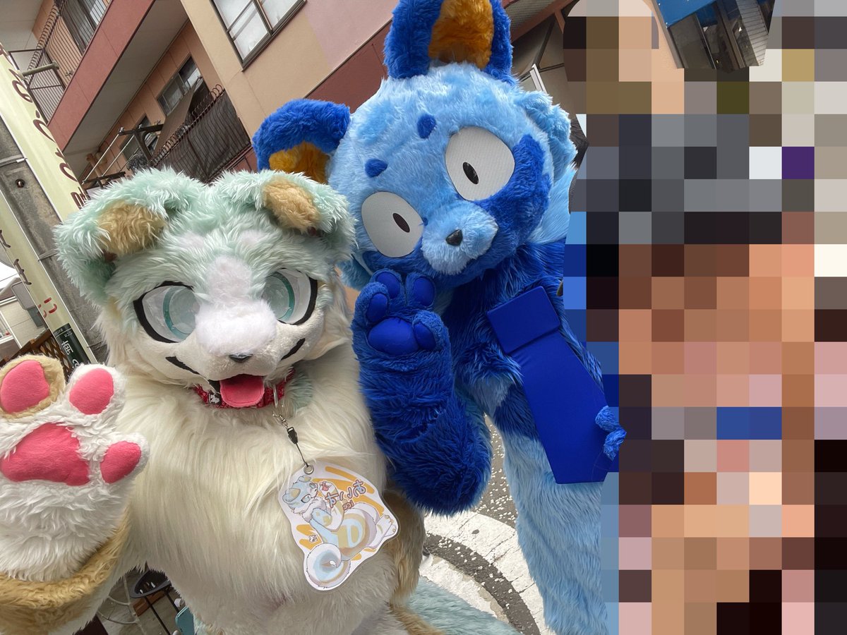 ラクたろ (@dream_raccoon) / Posts / X