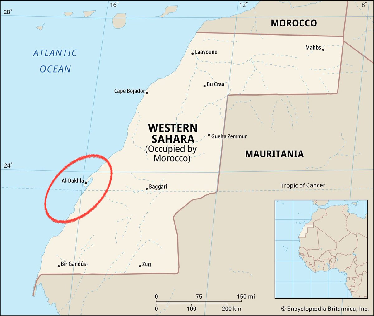 WesternSaharaOccidental tweet media